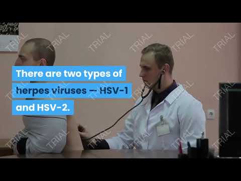 Can HSV-2 Be Transmitted Through Oral Sex ?