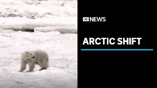 As the Arctic melts, a regime shift is taking place | ABC News