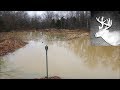 Duck Pond Update-Big Buck by the house! A walk to the Duck pond...