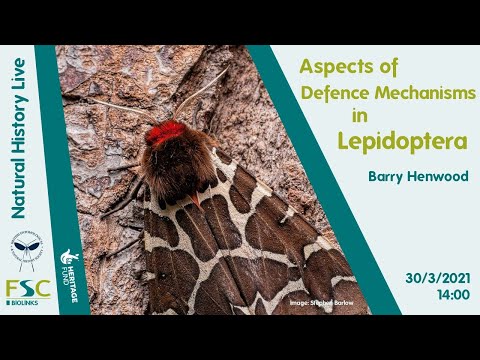 Aspects of Defence Mechanisms in Lepidoptera