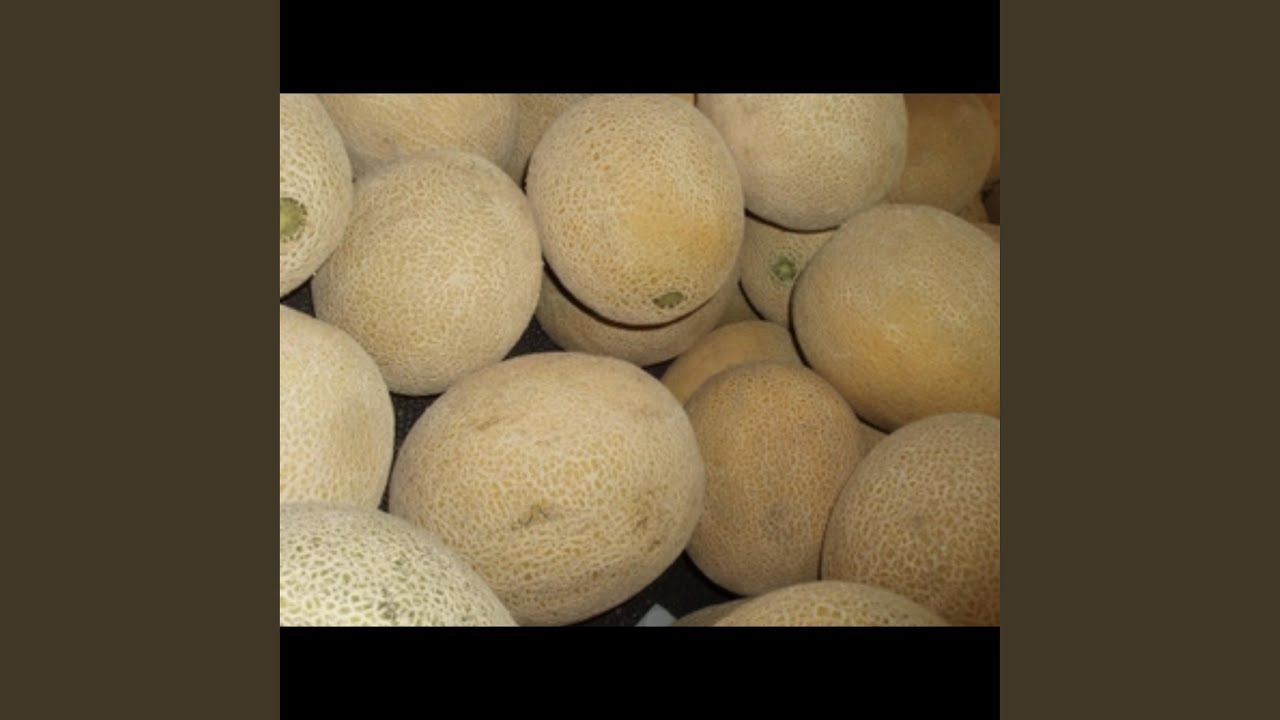 Watch Save The Melons on YouTube Watch Save The Melons on YouTube