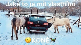 Jaké to je mít vlastního koně? Je to splněný sen ❤️┃VLOG
