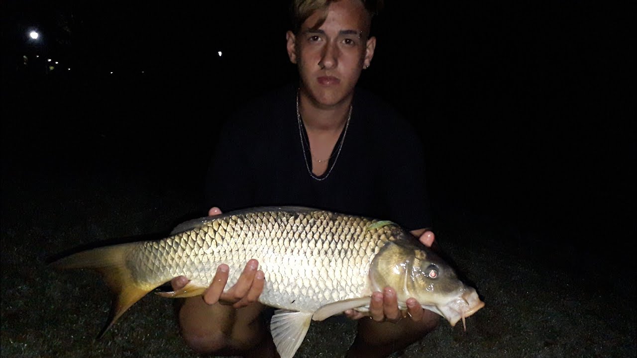 Pesca Nocturna De Bagres En El Ri Bagre Cajaro De 29 Pesca Nocturna De Bagres En El Ri Bagre Cajaro De 29