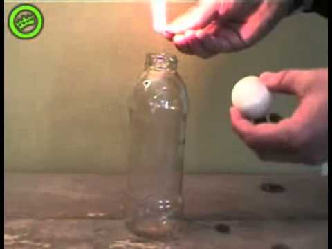 cara memasukan telor dalam botol flv cara memasukan telor dalam botol flv
