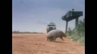 CONOCO CLASSIC COMMERCIAL
