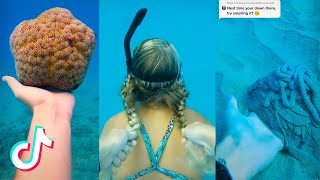 Unbelievable Things in Ocean (Coastal, Diving, Scuba Diving) TikTok Compilation