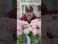 Retired New Hat And Daffodil Smelling 20MAY2026