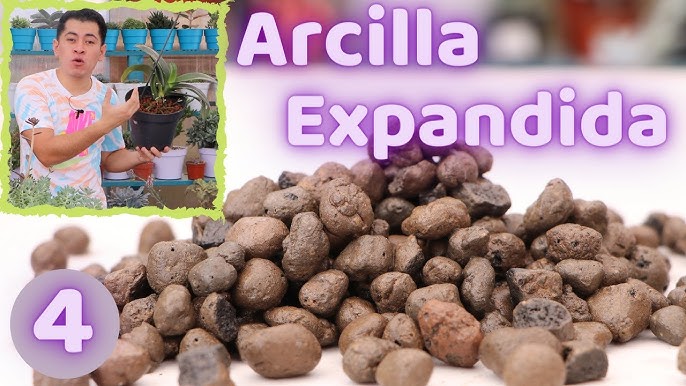 Arcilla expandida  Revista de Flores, Plantas, Jardinería, Paisajismo y  Medio ambiente