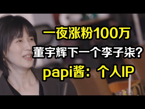 一夜涨粉100万，董宇辉是下一个李子柒？papi酱终于讲出个人IP的巨大商机《十三邀S6 ThirteenTalks》 #许知远 #许子东 #马家辉 #梁文道 #马未都 #窦文涛