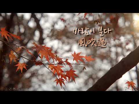 [韓繁中字] 鄭承煥_風吹過 (바람이 분다)(原唱: 李素羅)
