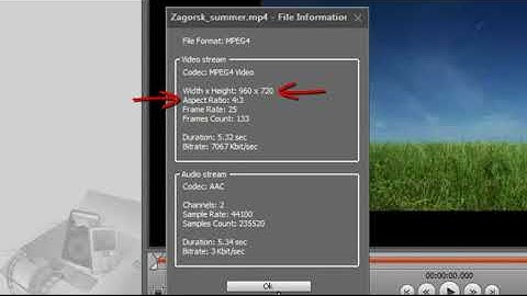 Converting a Video in Movavi Video Converter 11  Removing Black Bars