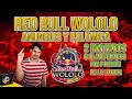 Red bull wololo el reinado  nuevos anuncios y polmica   los pro ya rankean empire wars 