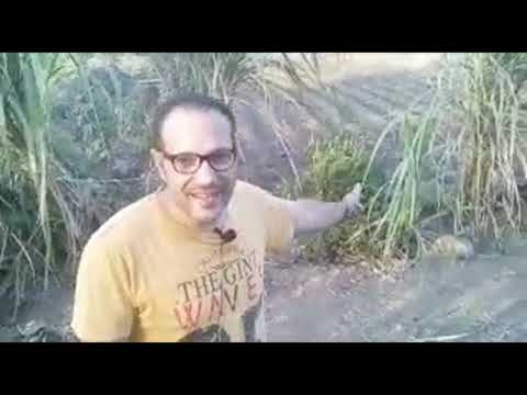 كلمات تنتهي بالألف والنون لكتابة الشعر