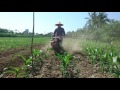 2017 玉米中耕培土作業