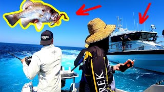 WE DIDN’T EXPECT THIS! | Catching Pearl Perch on Soft Plastics and Baits (PART 2) screenshot 2