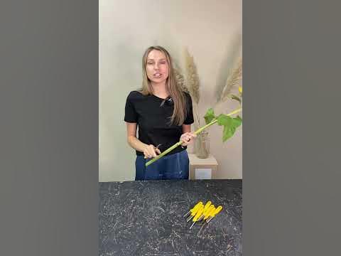 САМЫЕ УДОБНЫЕ НОЖИ ФЛОРИСТА. - YouTube