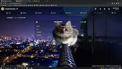 How To SOLO Mine Meow Coin On  HiveOS! 🐈