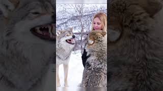 Lead Wolf Attacks Lower Ranking Wolf
