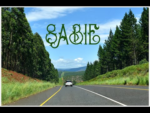 One Day in Sabie (South Africa) | Travel Vlog | Welcome to Sabie