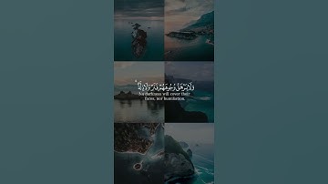 ﴿وَاللَّهُ يَدعو إِلى دارِ السَّلامِ وَيَهدي مَن يَشاءُ ﴾ من سورة يونس بصوت ياسين نائب