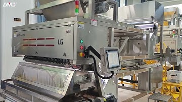 AMD Black Pepper/Chili  Deep Learning Color Sorter/Sortex/Sorting Machine