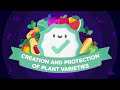 World Plant Variety Protection | Why is so important? Mp3 Song