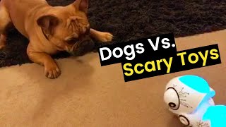 Dogs Vs. Scary Toys by Newsflare 1,504 views 3 weeks ago 3 minutes, 3 seconds