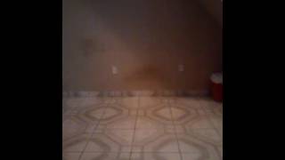 Eu Dançando Anitta Na Batida Kkkkk Tentei