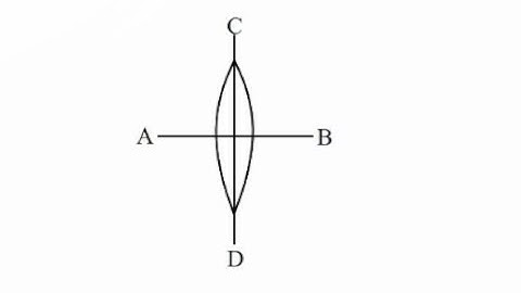A symmetric thin biconvex lens is cut into four equal parts by two planes jee-main-2025 22 jan