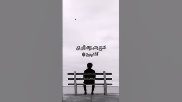 ولقد نعلم أنك يضيق صدرك بما يقولون _ القارئ هزاع البلوشي