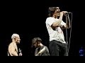 Red hot chili peppers  i could have lied solo isle of wight 2014 multicam