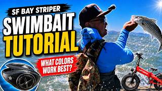 How We Catch Bay Area Stripers on Swimbaits Full Tutorial