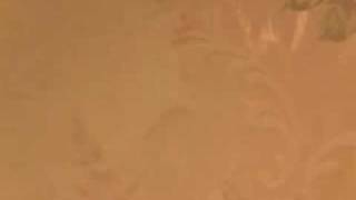 Paramore-Only Exceptionringtone In Description.flv