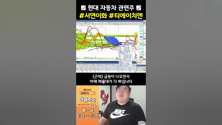 [📈 관심 테마 ] 자동차관련주 #서연이화 #티에이치엔