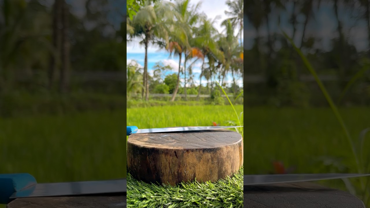 Premium Coconut Cutting Skills