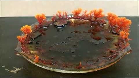 Time-lapse crystal growth