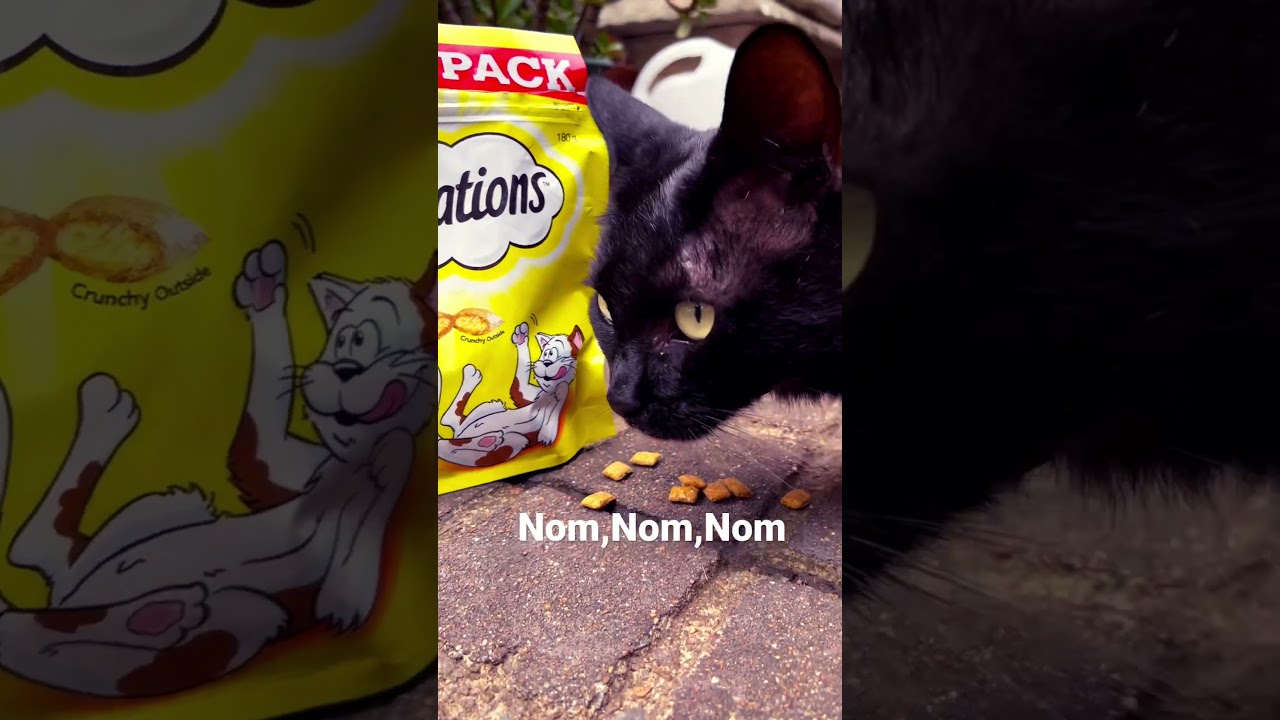 Temptations are George’s favourite snacks! 