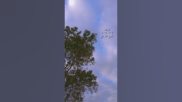 ما تيسر من سورة الفرقان للشيخ محمد علي