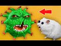🦠 Virus - Hamster Maze with Traps ☠️[OBSTACLE COURSE]