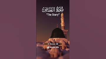Surah Al-Qasas 56 | Hindi - Urdu Audio translation | سورة القصص #alqasas #hindi #urdu #islamdaily