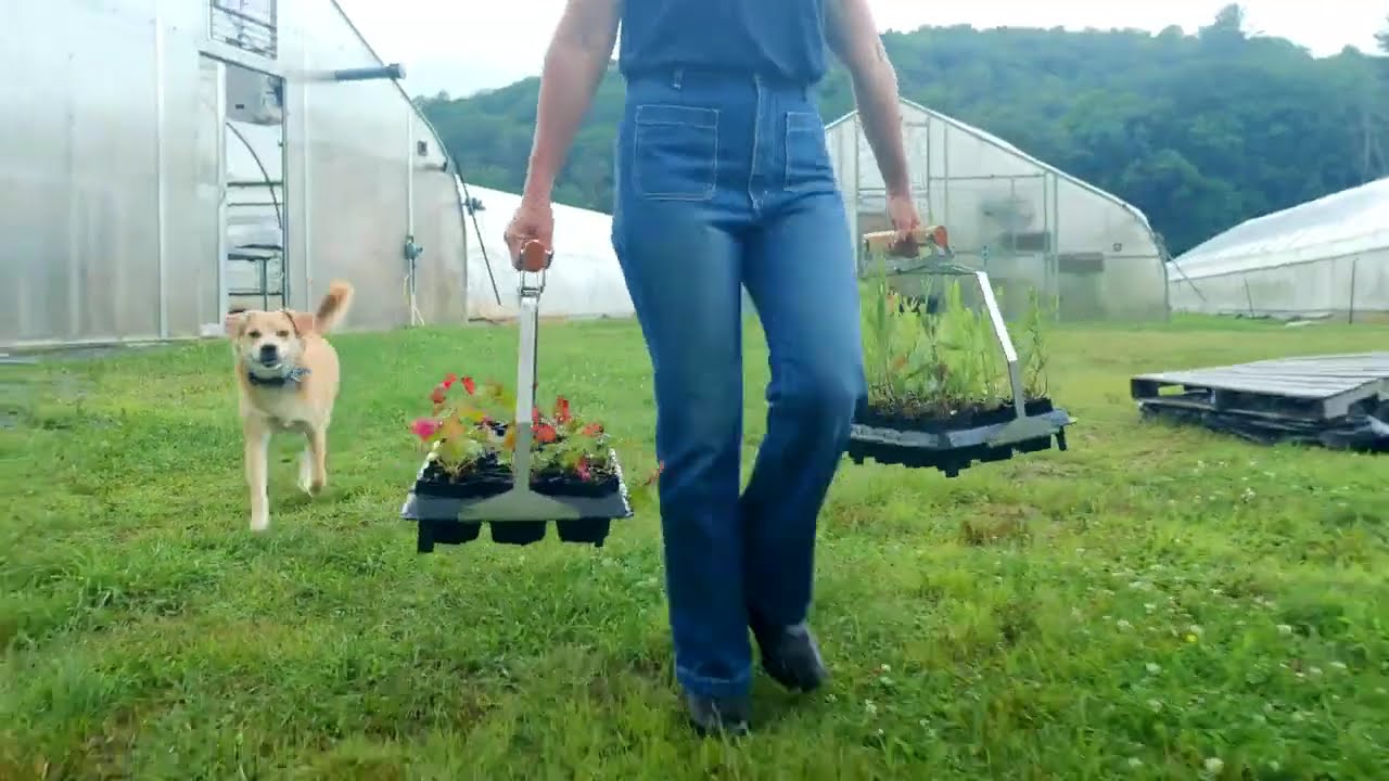 Winstrip® Garden | Kit | Nursery Trays | Lifetime Use | Air Prune