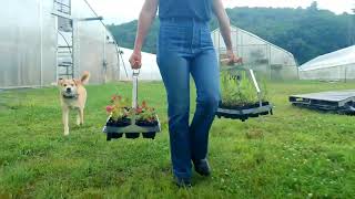 Winstrip® Pots Carry Handle – Neversink Tools