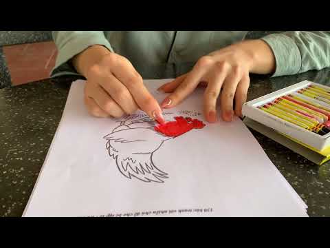 Simple rooster coloring | Happy Day