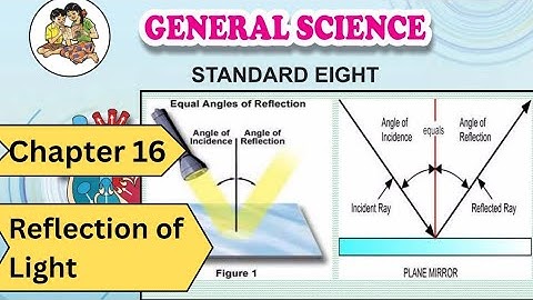 Class 8 | Science | Chapter 16 | Reflection of Light | Maharashtra board 