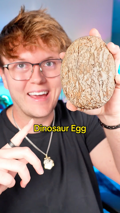 I Bought a Dinosaur Egg?!