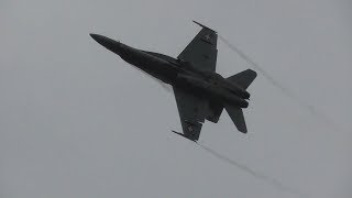 Mcdonnell Douglas Fa-18 Hornet - Airpower 2019 - Friday