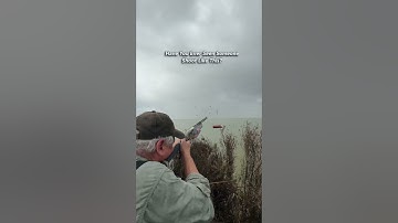 Have You Ever Seen A Better Shot Than This? #duck #hunting