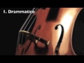 Miniature de la vidéo de la chanson Cello Concerto: I. Drammatico