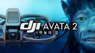 DJI 아바타2 - FPV 입문의 하늘길이 지금 열렸습니다!