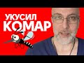 Как быстро облегчить зуд от укусов комаров? - Доктор Елизаров